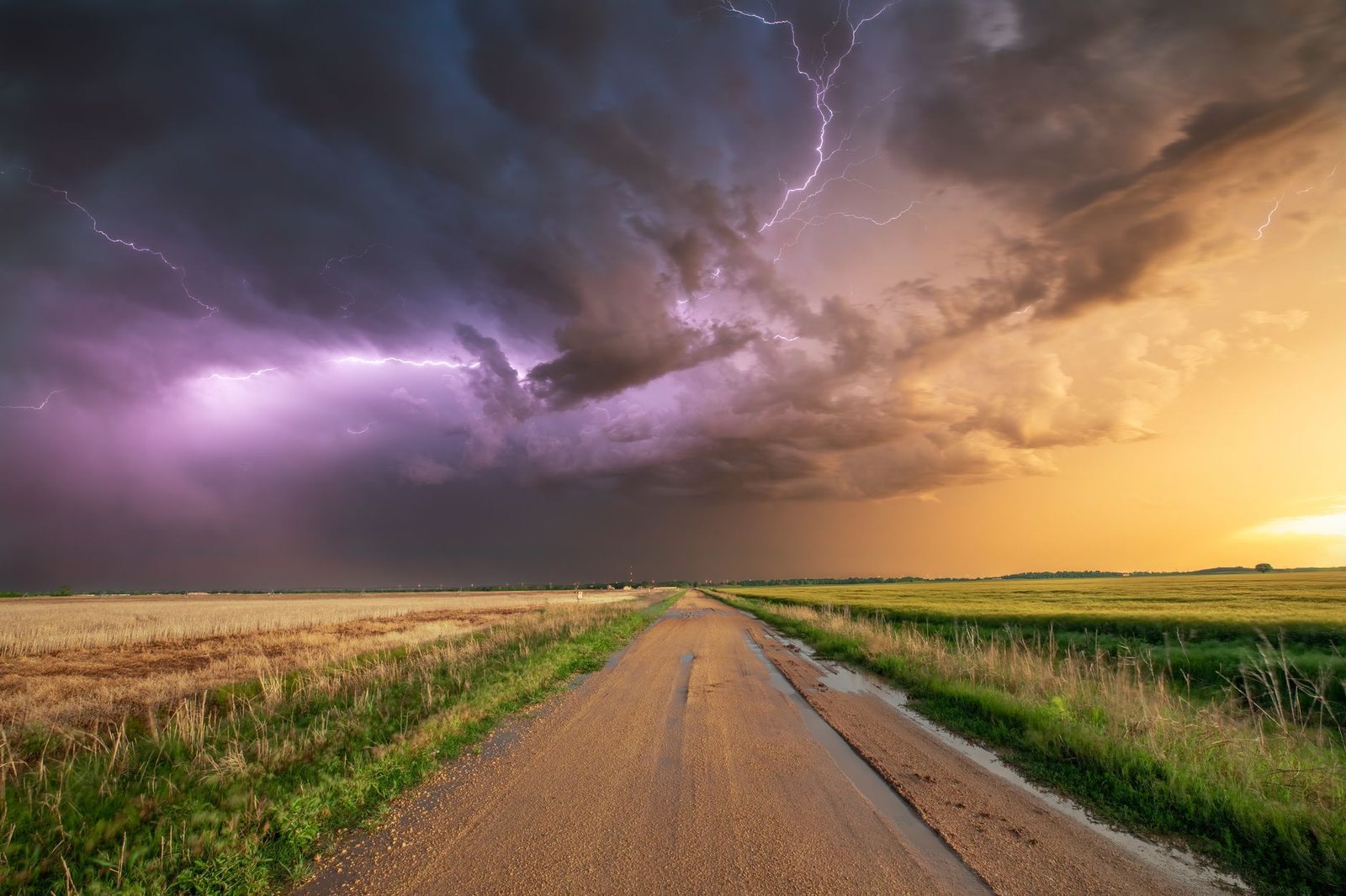 A lightning storm rolling over a wet dirt road between Oklahoma wheat fields at sunset
