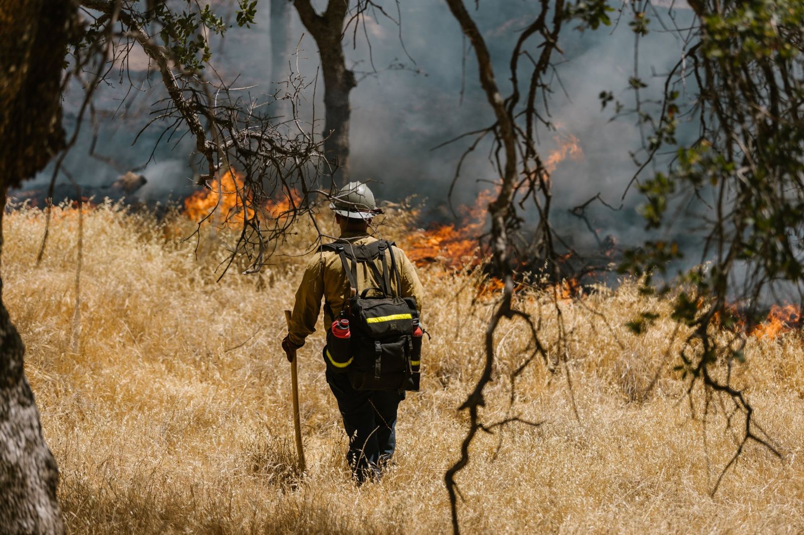 Wildland firefighter in yellow gear and helmet walks a dry grass fire line with smoke and flames ahead