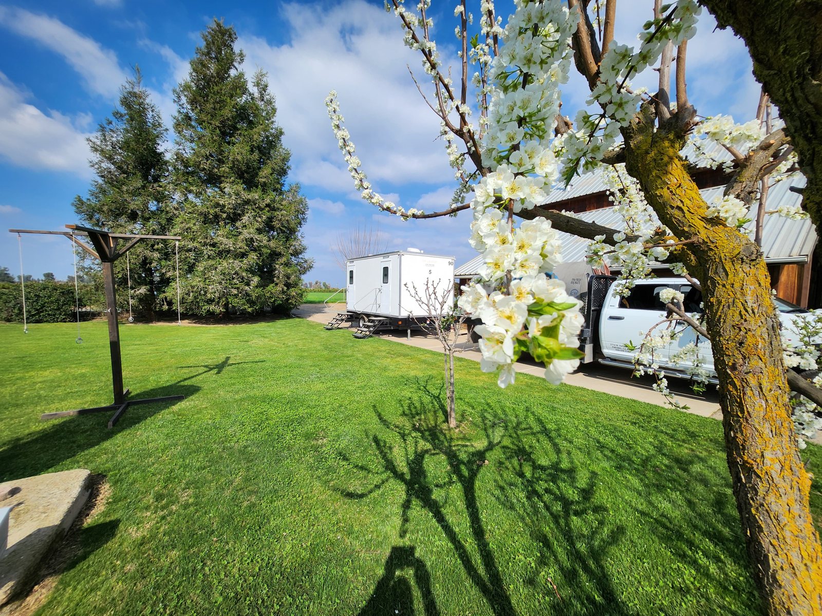 A Lavatory restroom trailer parked beside a barn at a rural venue, seen past a blossoming fruit tree and a green lawn